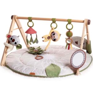 Tiny Love Boho Chic Babygym