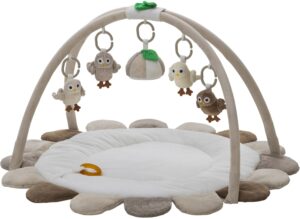 Rätt Start Baby Owls Babygym