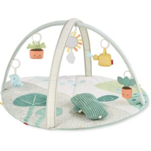 Skip Hop Garden Oasis Babygym